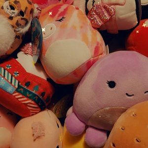 BIG Squishmallows bundle